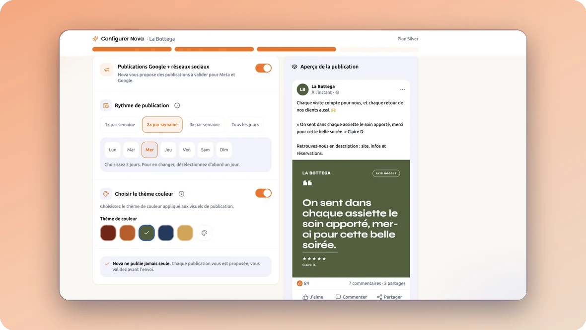 Nova Reply: the post settings with the colour themes and a live preview of the post