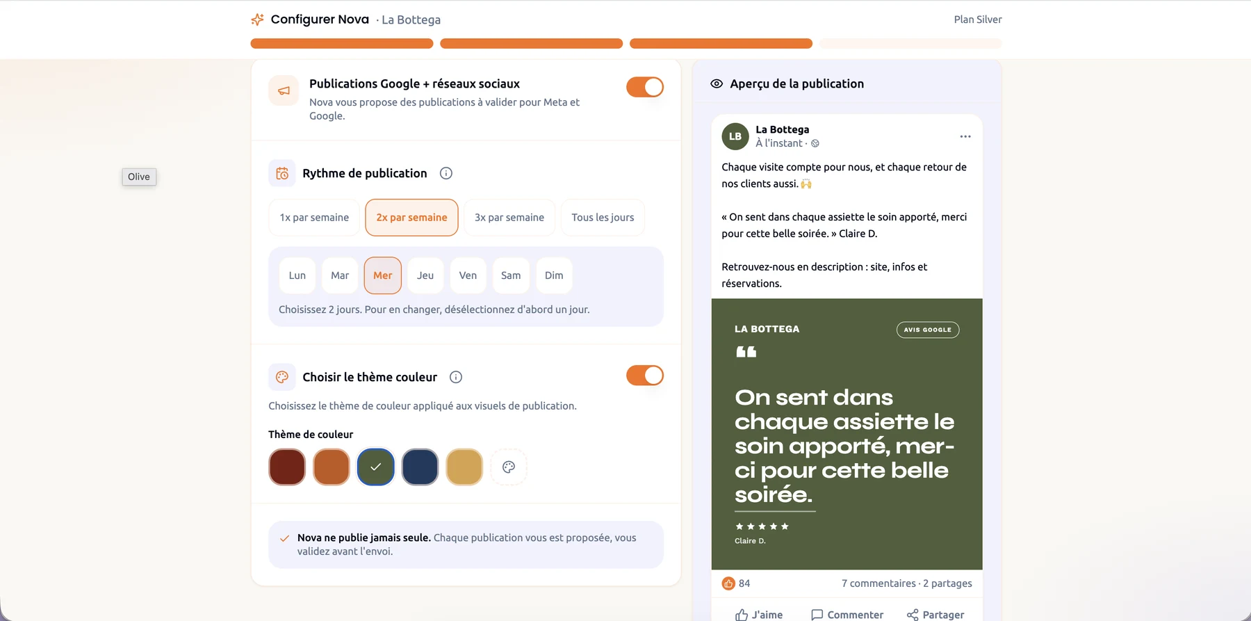Five colour themes, with the olive theme selected and the post preview in olive