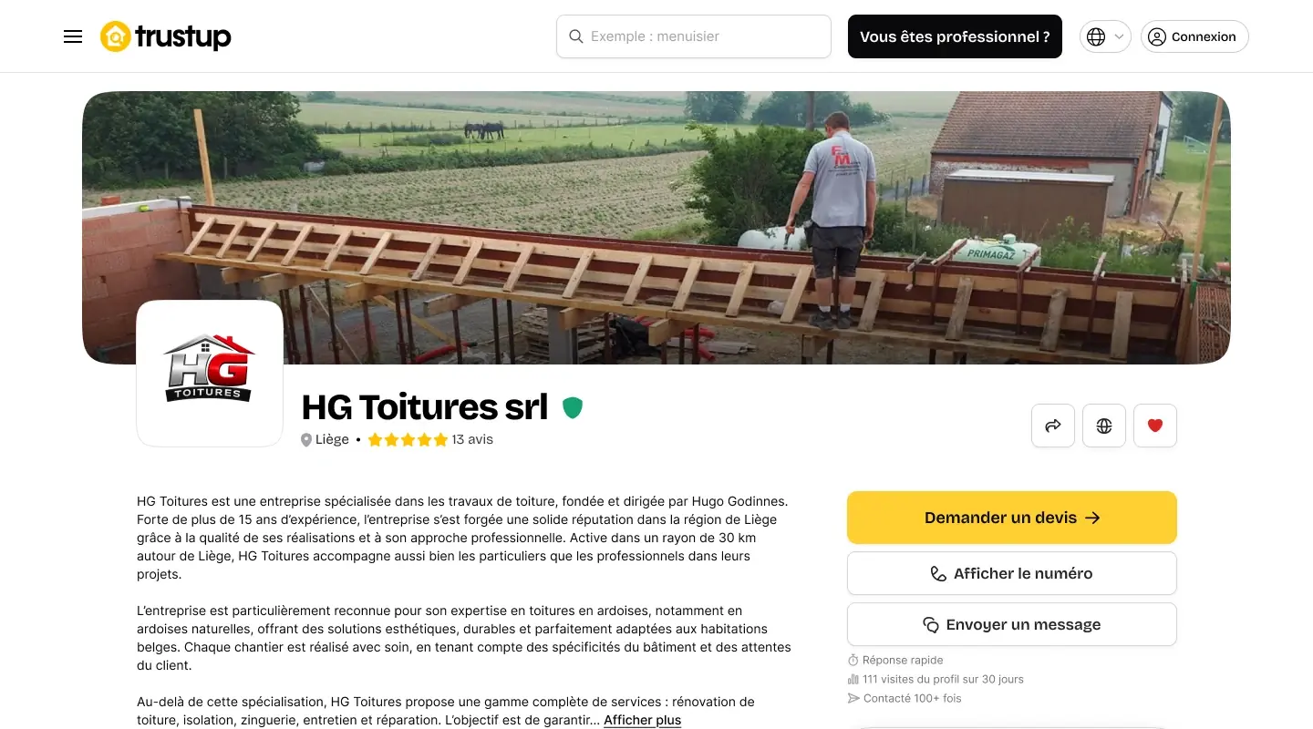 A pro page with the heart at the top right, next to the share and website buttons